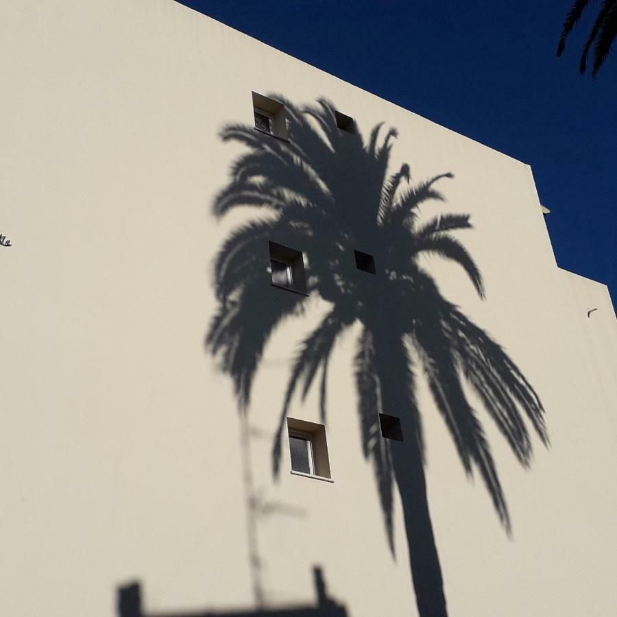 Appartamento Les Pins . 2 P Calme Et Terrasse *